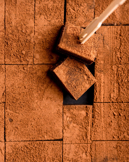 Cocoa-dusted Ganache de Luxe squares, one lifted on a fork