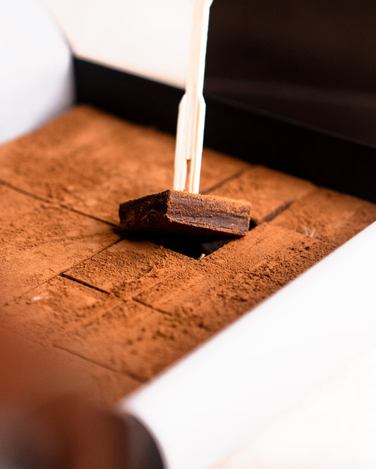 Ganache de Luxe box with one cocoa-dusted square lifted on a fork