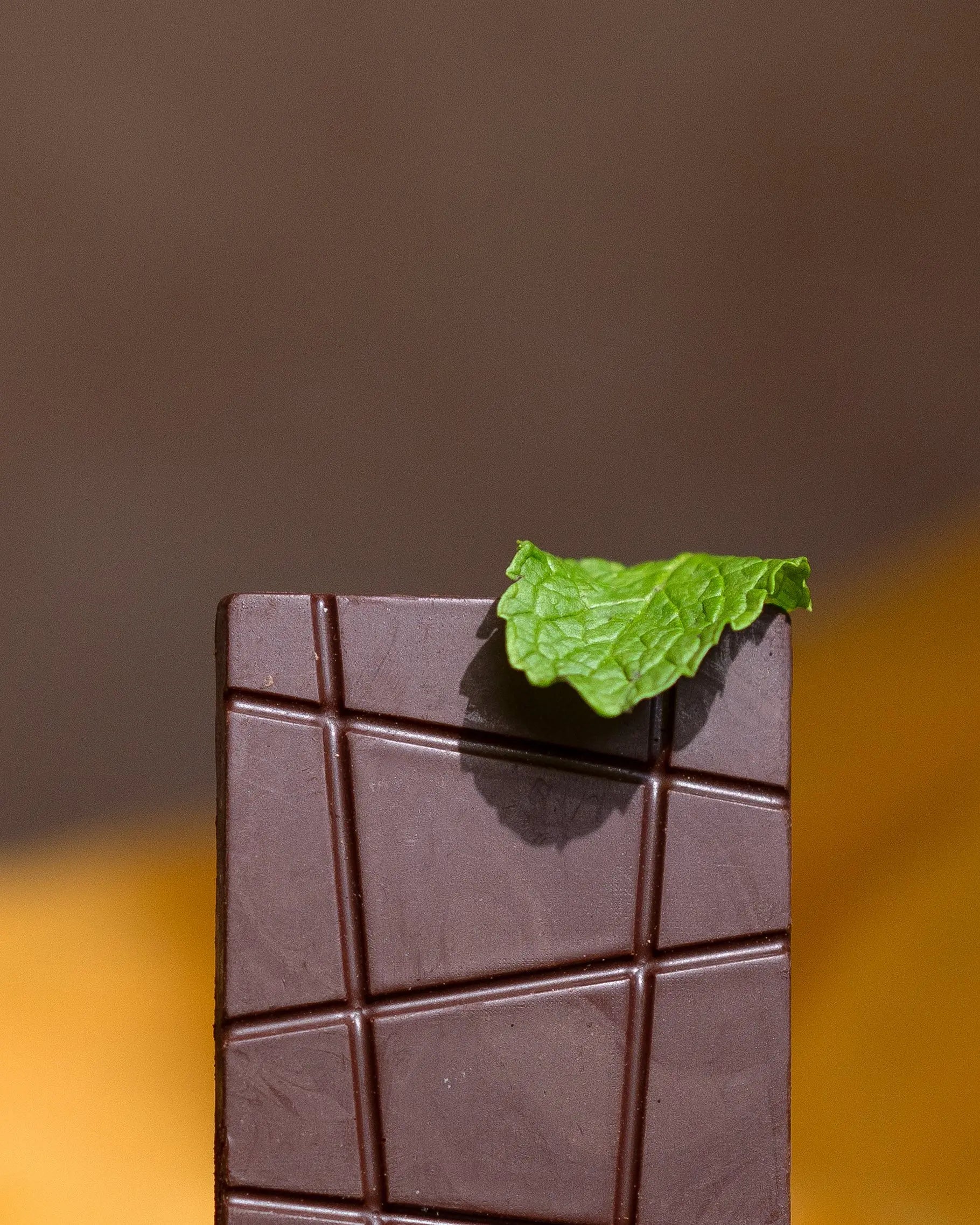 Flavours of Indulgence Cavasachocolates