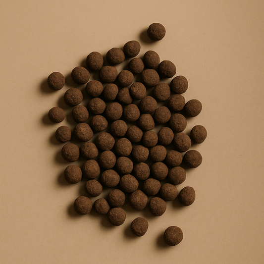 Coffee Bean Dragées