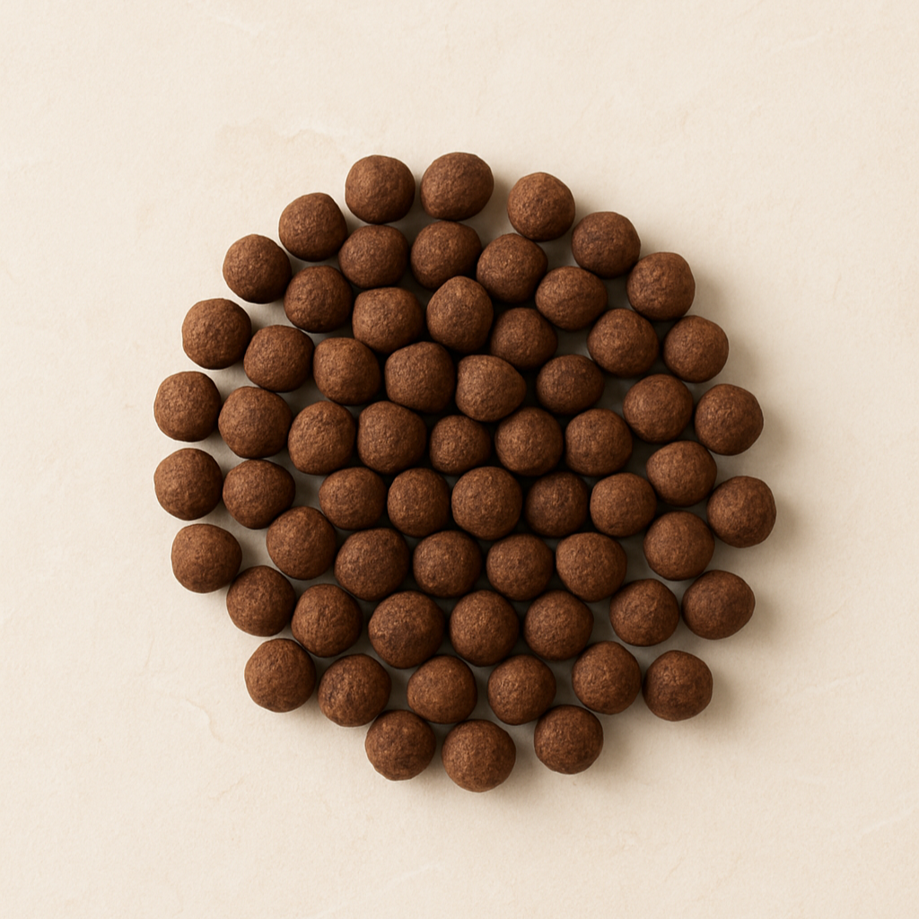 Coffee Bean Dragées