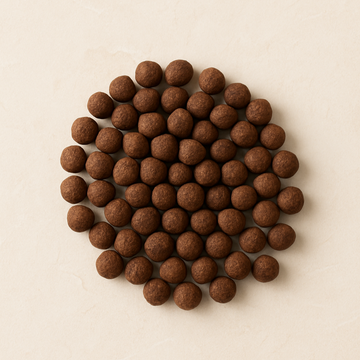 Coffee Bean Dragées
